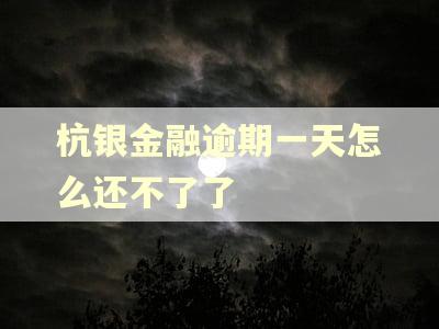 杭银金融逾期一天怎么还不了了 杭银金融逾期一天怎么还不了了