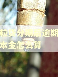 微粒贷分期后逾期逾期本金怎么算
