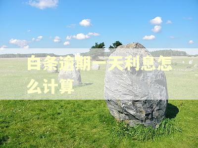 白条逾期一天利息怎么计算 白条逾期一天利息怎么计算