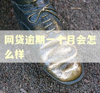 网贷逾期一个月会怎么样