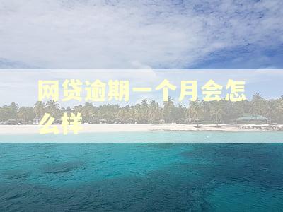 网贷逾期一个月会怎么样