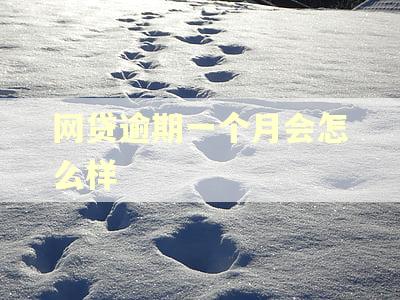 网贷逾期一个月会怎么样