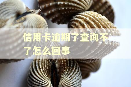 信用卡逾期了查询不了怎么回事