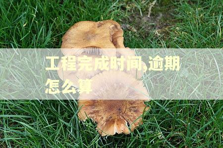 工程完成时间,逾期怎么算