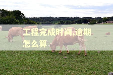 工程完成时间,逾期怎么算