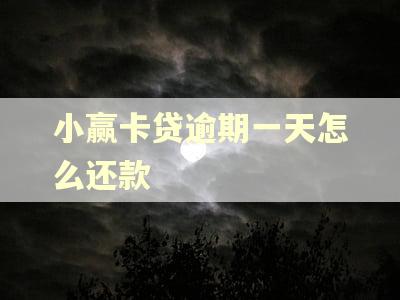小赢卡贷逾期一天怎么还款