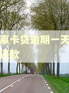 小赢卡贷逾期一天怎么还款