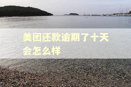 美团还款逾期了十天会怎么样