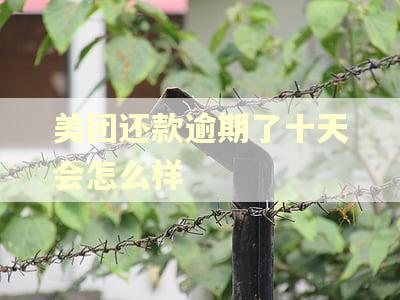 美团还款逾期了十天会怎么样
