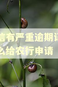 征信有严重逾期记录怎么给农行申请