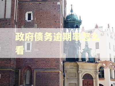 政府债务逾期率怎么看