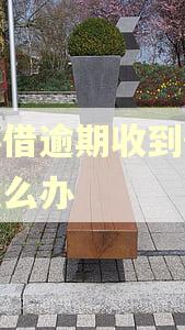 放心借逾期收到催款函怎么办