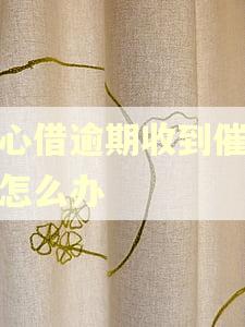 放心借逾期收到催款函怎么办