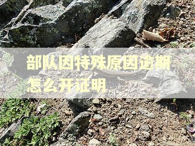 部队因特殊原因逾期怎么开证明