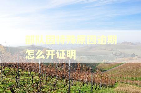 部队因特殊原因逾期怎么开证明 部队因特殊原因逾期怎么开证明