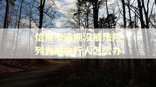 信用卡逾期没被法院列为被执行人怎么办