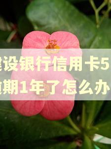 建设银行信用卡5万逾期1年了怎么办