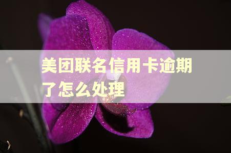 美团联名信用卡逾期了怎么处理