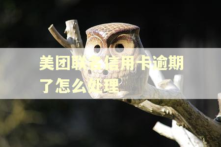 美团联名信用卡逾期了怎么处理 美团联名信用卡逾期了怎么处理
