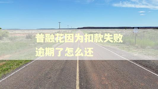 普融花因为扣款失败逾期了怎么还