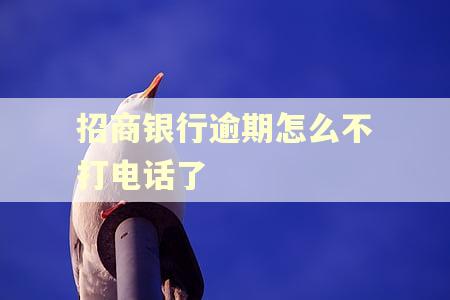 招商银行逾期怎么不打电话了 招商银行逾期怎么不打电话了