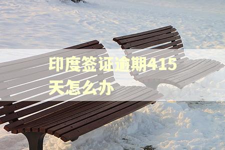 印度签证逾期415天怎么办