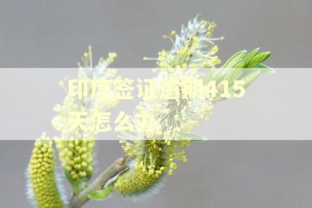印度签证逾期415天怎么办