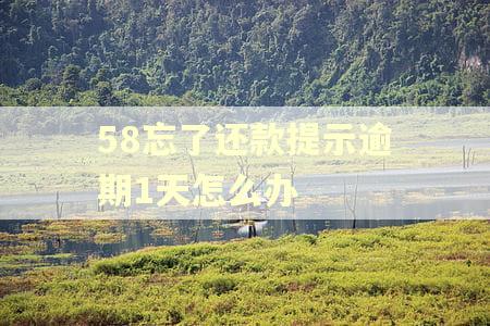 58忘了还款提示逾期1天怎么办