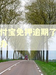 支付宝免押逾期了怎么办