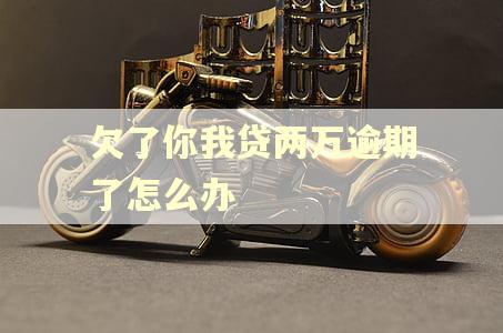 欠了你我贷两万逾期了怎么办