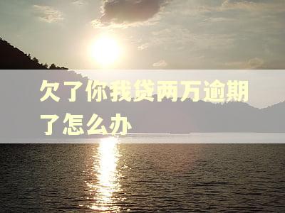 欠了你我贷两万逾期了怎么办