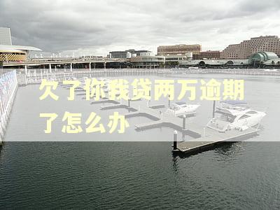 欠了你我贷两万逾期了怎么办