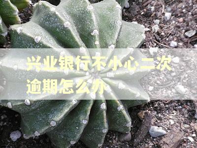 兴业银行不小心二次逾期怎么办