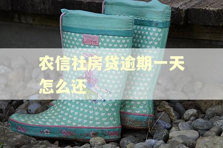 农信社房贷逾期一天怎么还 农信社房贷逾期一天怎么还