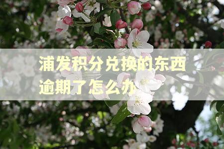 浦发积分兑换的东西逾期了怎么办