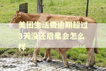 美团生活费逾期超过3天没还后果会怎么样