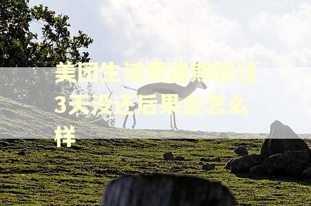 美团生活费逾期超过3天没还后果会怎么样