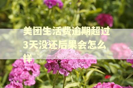 美团生活费逾期超过3天没还后果会怎么样
