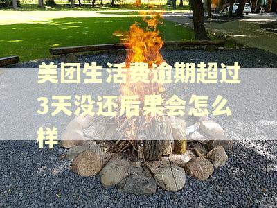 美团生活费逾期超过3天没还后果会怎么样