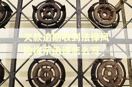欠款逾期收到法律风险提示函该怎么写