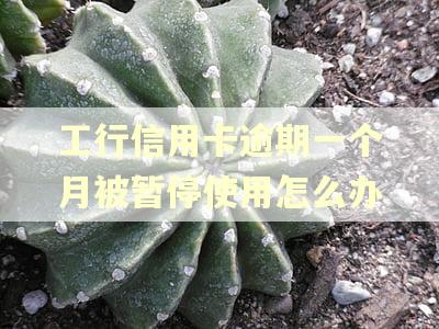 工行信用卡逾期一个月被暂停使用怎么办