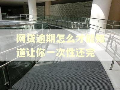 网贷逾期怎么才能知道让你一次性还完