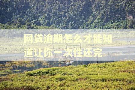网贷逾期怎么才能知道让你一次性还完