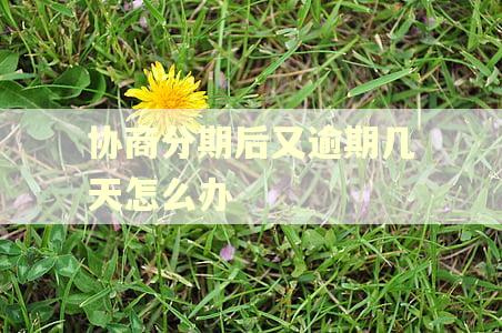 协商分期后又逾期几天怎么办