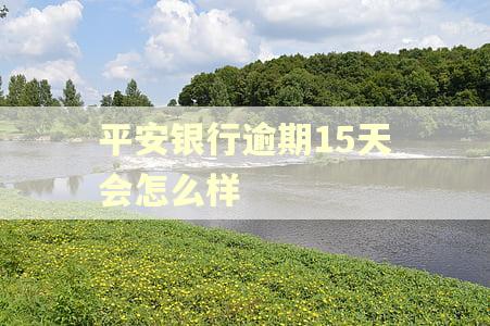 平安银行逾期15天会怎么样