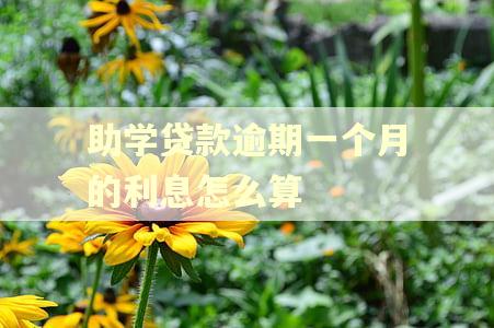 助学贷款逾期一个月的利息怎么算