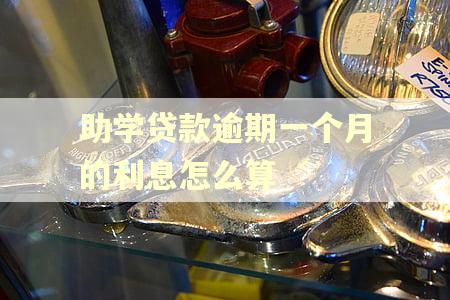 助学贷款逾期一个月的利息怎么算