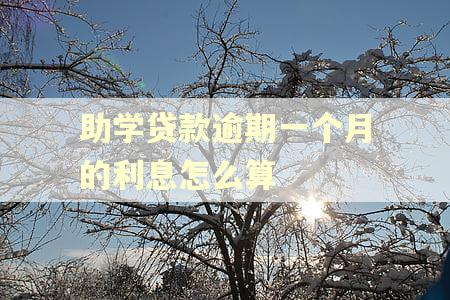 助学贷款逾期一个月的利息怎么算 助学贷款逾期一个月的利息怎么算