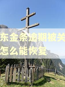 京东金条逾期被关闭了怎么能恢复 京东金条逾期被关闭了怎么能恢复
