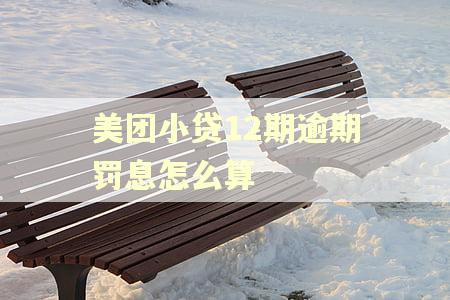 美团小贷12期逾期罚息怎么算